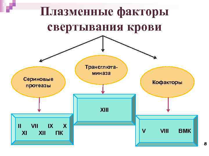 Плазменные факторы свертывания крови Трансглютаминаза Сериновые протеазы Кофакторы XIII II VII XI IX XII