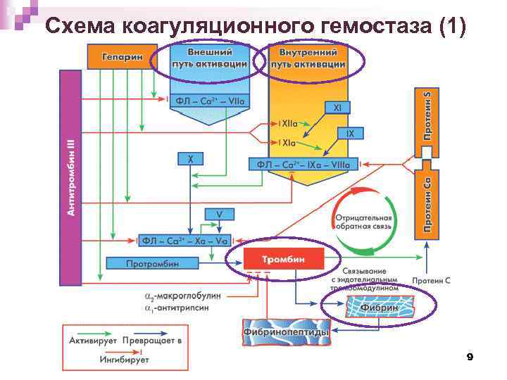 Схема коагуляционного гемостаза (1) 9 