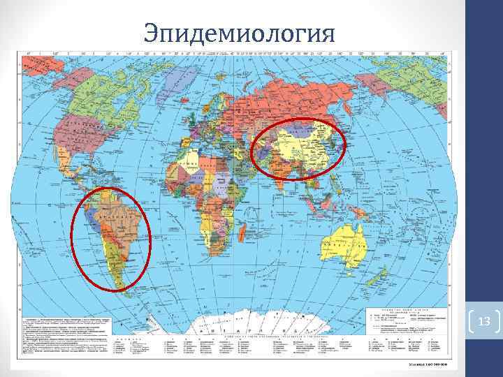 Эпидемиология 13 Эпидемиология 13