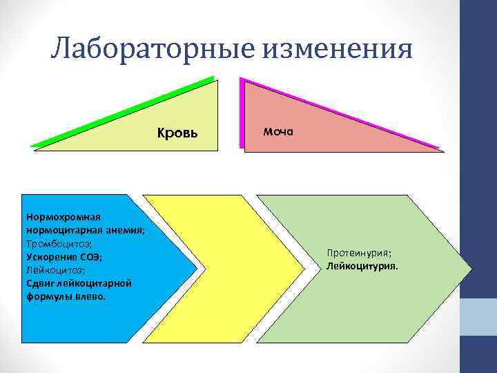 Лабораторные изменения Кровь Моча Нормохромная нормоцитарная анемия; Тромбоцитоз; Ускорение СОЭ; Протеинурия; Лейкоцитоз; Лейкоцитурия. Лабораторные изменения Кровь Моча Нормохромная нормоцитарная анемия; Тромбоцитоз; Ускорение СОЭ; Протеинурия; Лейкоцитоз; Лейкоцитурия.