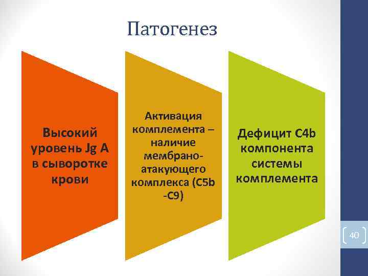 Патогенез Активация Высокий комплемента – Дефицит C 4 b наличие уровень Jg A Патогенез Активация Высокий комплемента – Дефицит C 4 b наличие уровень Jg A