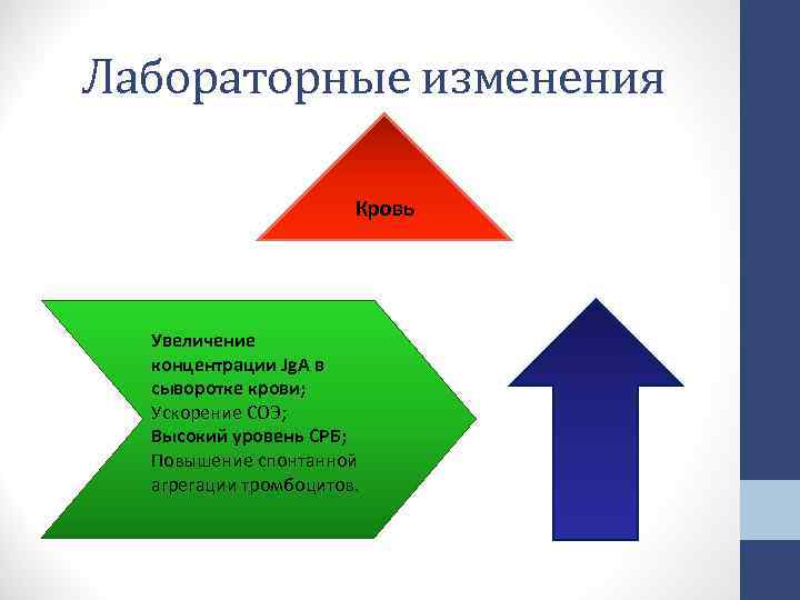 Лабораторные изменения Кровь Увеличение концентрации Jg. A в сыворотке крови; Ускорение СОЭ; Высокий уровень Лабораторные изменения Кровь Увеличение концентрации Jg. A в сыворотке крови; Ускорение СОЭ; Высокий уровень