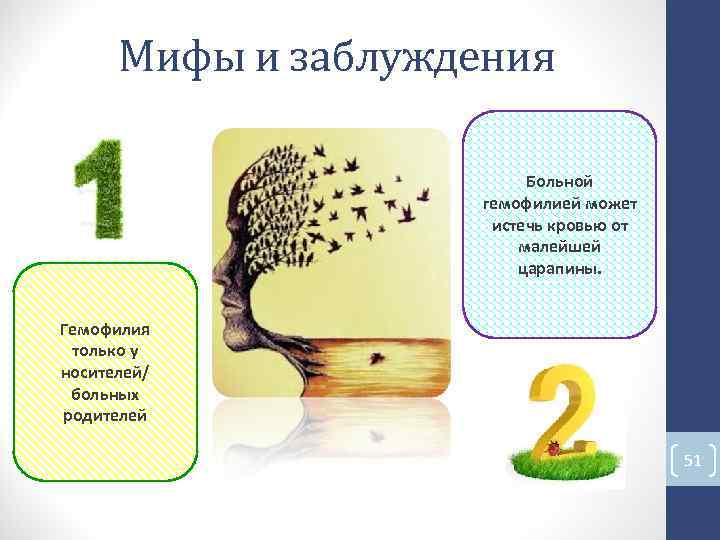 Мифы и заблуждения Больной гемофилией может истечь кровью от малейшей царапины. Гемофилия только Мифы и заблуждения Больной гемофилией может истечь кровью от малейшей царапины. Гемофилия только