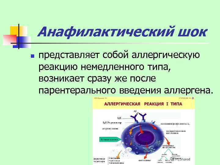 Анафилактический шок n представляет собой аллергическую реакцию немедленного типа, возникает сразу же после парентерального
