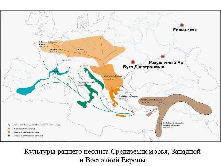Елшанская Ракушечный Яр Буго-Днестровская Культуры раннего неолита Средиземноморья, Западной и Восточной Европы 