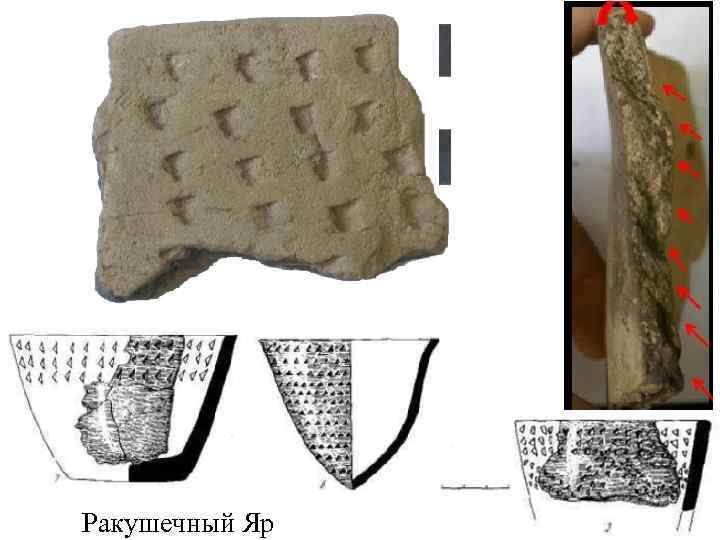 Ракушечный Яр 