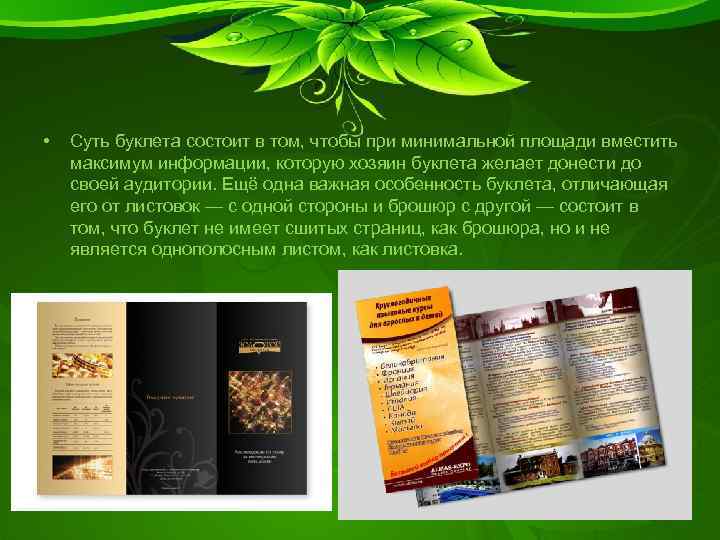  • Суть буклета состоит в том, чтобы при минимальной площади вместить максимум информации,