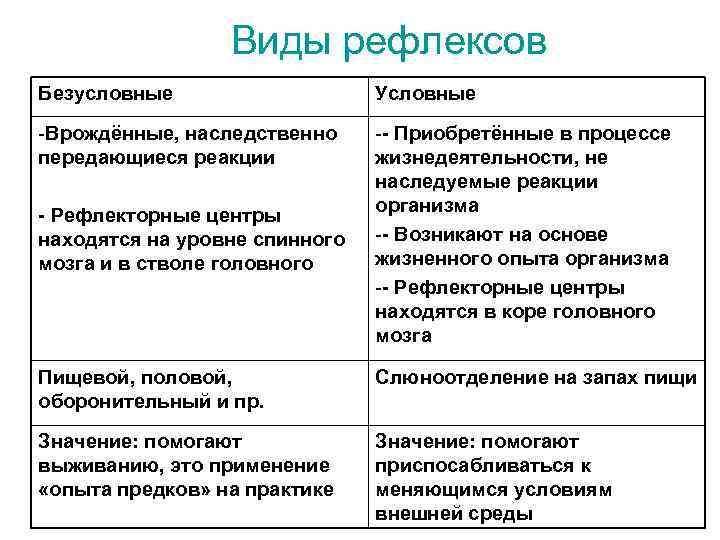 Рефлексы презентация 8 класс