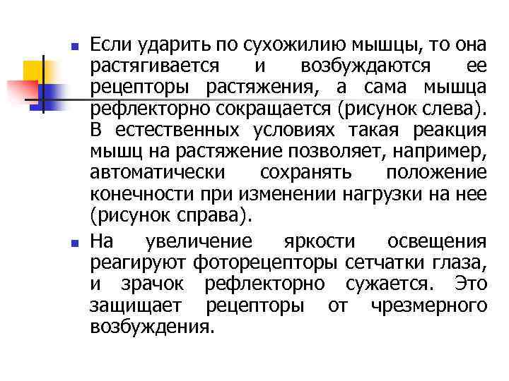 n n Если ударить по сухожилию мышцы, то она растягивается и возбуждаются ее рецепторы
