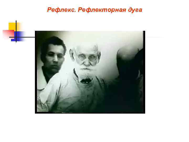 Рефлекс. Рефлекторная дуга 