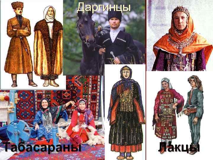 Даргинцы Табасараны Лакцы 