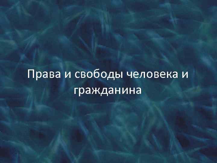 Права и свободы человека и гражданина 