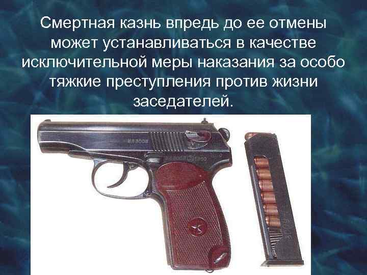 Смертная казнь впредь до ее отмены может устанавливаться в качестве исключительной меры наказания за