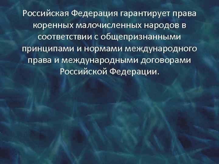 Российская Федерация гарантирует права коренных малочисленных народов в соответствии с общепризнанными принципами и нормами