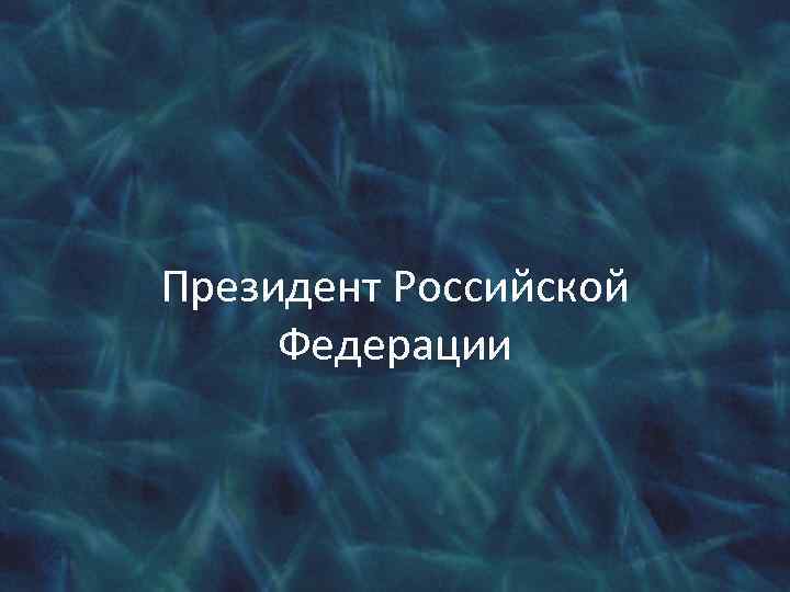 Президент Российской Федерации 