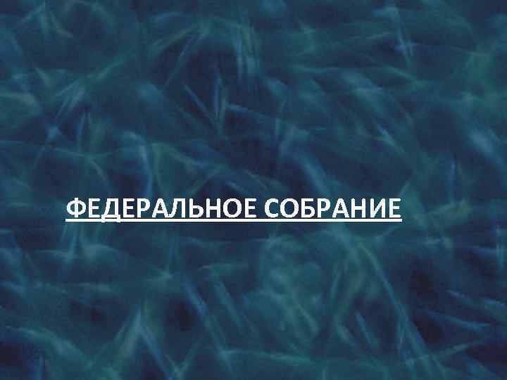 ФЕДЕРАЛЬНОЕ СОБРАНИЕ 