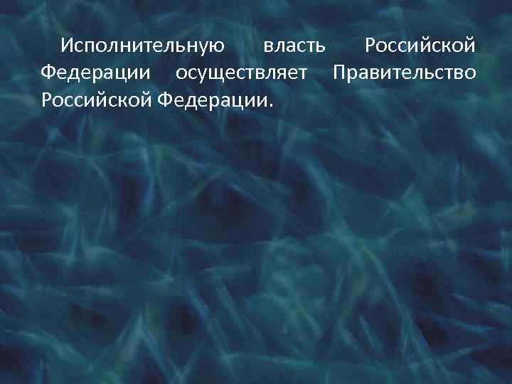 Исполнительную власть Российской Федерации осуществляет Правительство Российской Федерации. 