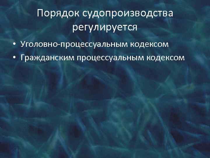 Порядок судопроизводства регулируется • Уголовно-процессуальным кодексом • Гражданским процессуальным кодексом 