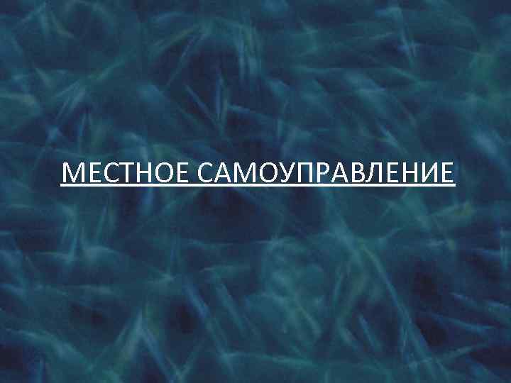 МЕСТНОЕ САМОУПРАВЛЕНИЕ 