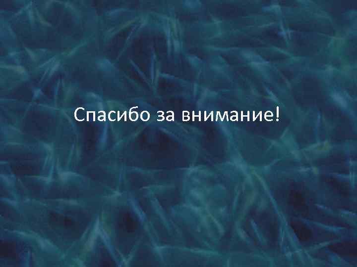 Спасибо за внимание! 