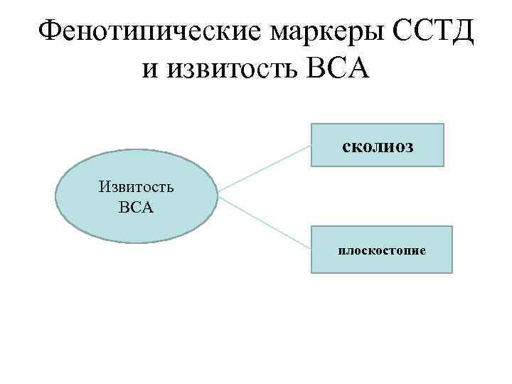 Фенотипические маркеры ССТД и извитость ВСА сколиоз Извитость ВСА плоскостопие 