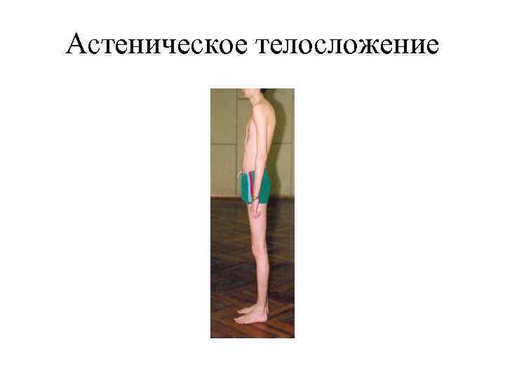 Астеническое телосложение 