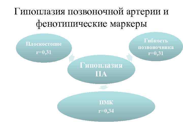 Гипоплазия позвоночной артерии и фенотипические маркеры Гибкость позвоночника r=0, 31 Плоскостопие r=0, 31 Гипоплазия