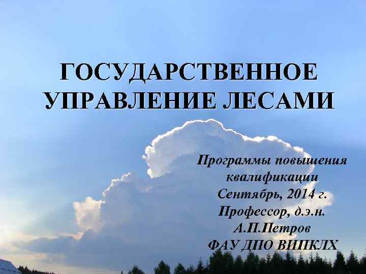 ГОСУДАРСТВЕННОЕ УПРАВЛЕНИЕ ЛЕСАМИ Программы повышения квалификации Сентябрь, 2014 г. Профессор, д. э. н. А.