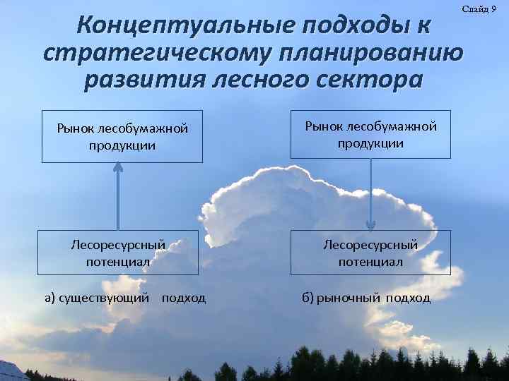 Слайд 9 Концептуальные подходы к стратегическому планированию развития лесного сектора Рынок лесобумажной продукции Лесоресурсный