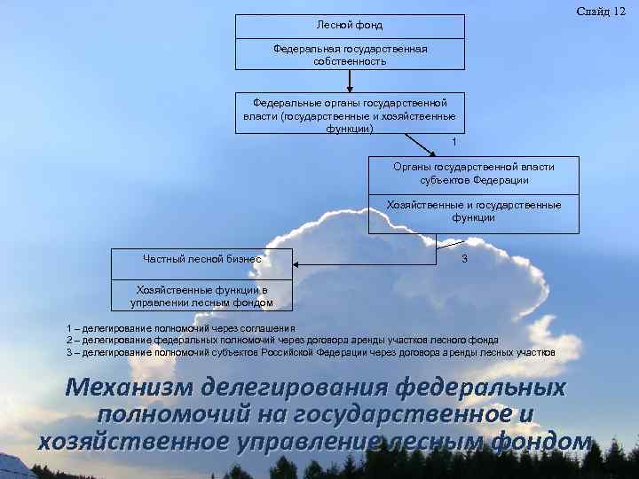 Слайд 12 Лесной фонд Федеральная государственная собственность Федеральные органы государственной власти (государственные и хозяйственные