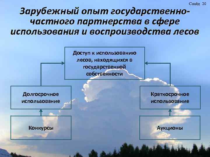 Слайд 20 Зарубежный опыт государственночастного партнерства в сфере использования и воспроизводства лесов Доступ к
