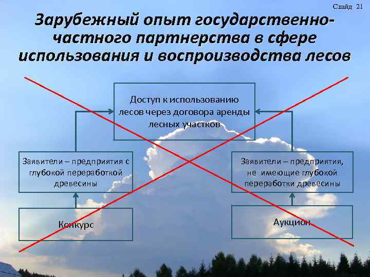 Слайд 21 Зарубежный опыт государственночастного партнерства в сфере использования и воспроизводства лесов Доступ к