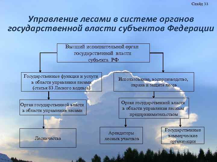 Слайд 33 Управление лесами в системе органов государственной власти субъектов Федерации Высший исполнительной орган