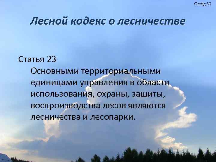 Слайд 35 Лесной кодекс о лесничестве Статья 23 Основными территориальными единицами управления в области
