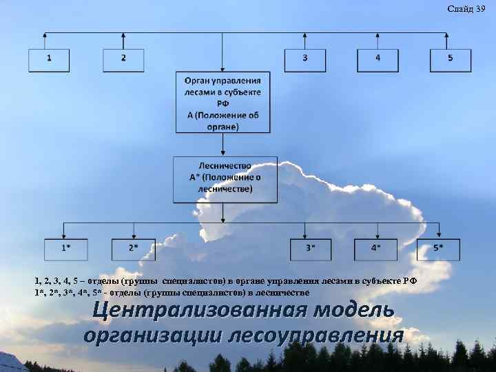 Слайд 39 1, 2, 3, 4, 5 – отделы (группы специалистов) в органе управления