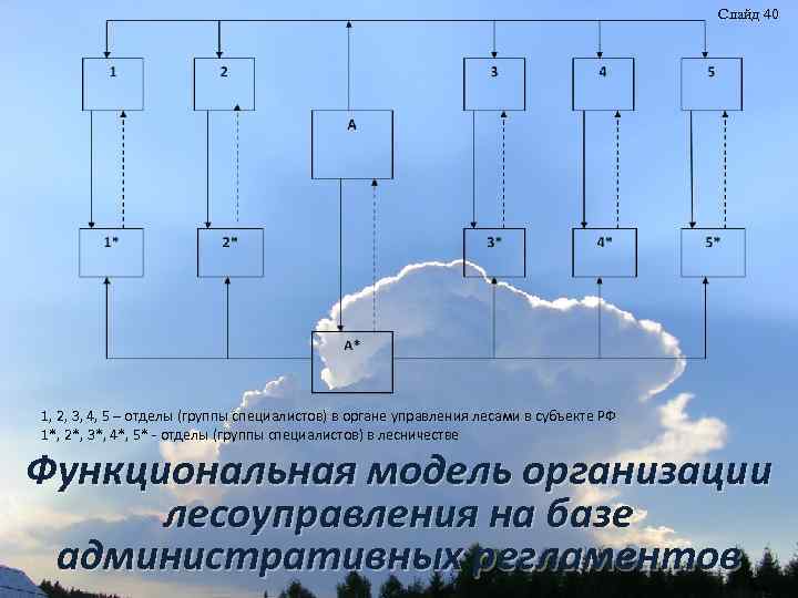 Слайд 40 1, 2, 3, 4, 5 – отделы (группы специалистов) в органе управления