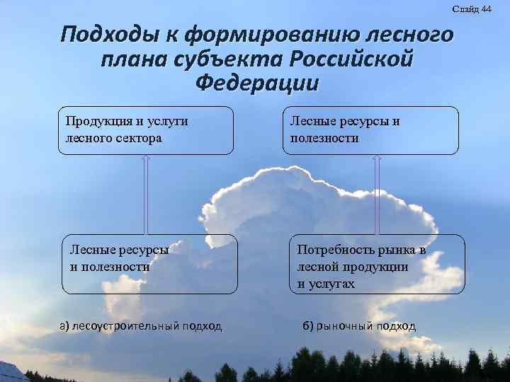 Слайд 44 Подходы к формированию лесного плана субъекта Российской Федерации Продукция и услуги лесного