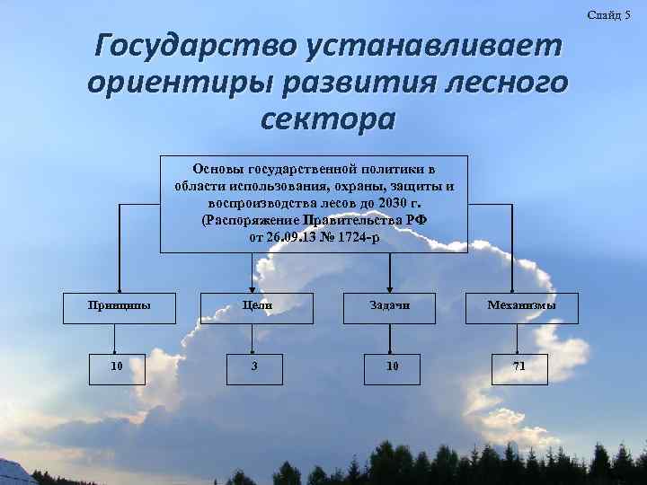 Государство устанавливает ориентиры развития лесного сектора Основы государственной политики в области использования, охраны, защиты