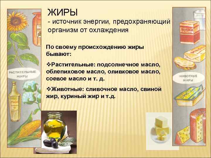 ЖИРЫ - источник энергии, предохраняющий организм от охлаждения По своему происхождению жиры бывают: v.