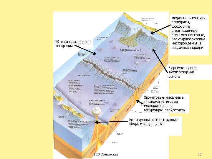 медистые песчаники, эвапориты, фосфориты, стратиформные свинцово-цинковые, барит-флюоритовые месторождения в осадочных породах Железо-марганцевые конкреции Черносланцевые