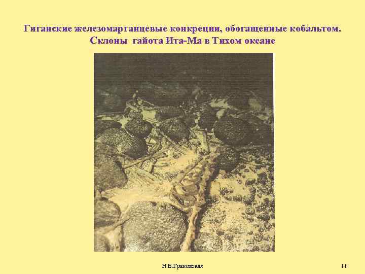 Гиганские железомарганцевые конкреции, обогащенные кобальтом. Склоны гайота Ита-Ма в Тихом океане Н. В. Грановская