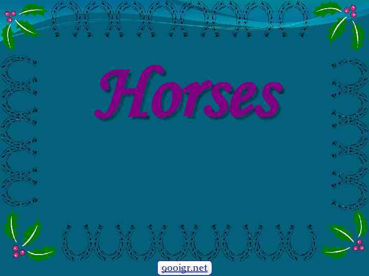 Horses 900 igr. net 