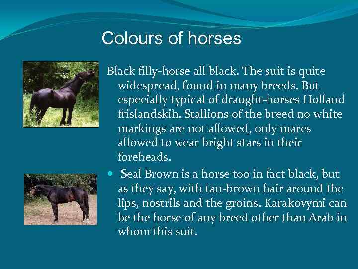 Colours of horses Black filly-horse all black. The suit is quite widespread, found in