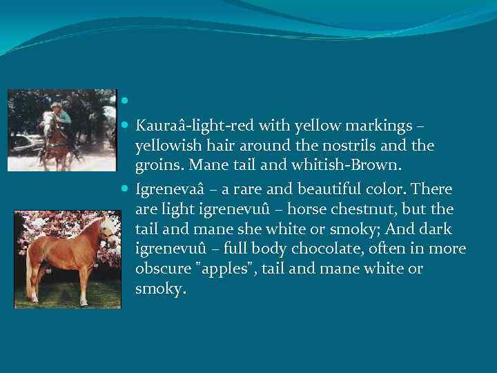  Kauraâ-light-red with yellow markings – yellowish hair around the nostrils and the groins.