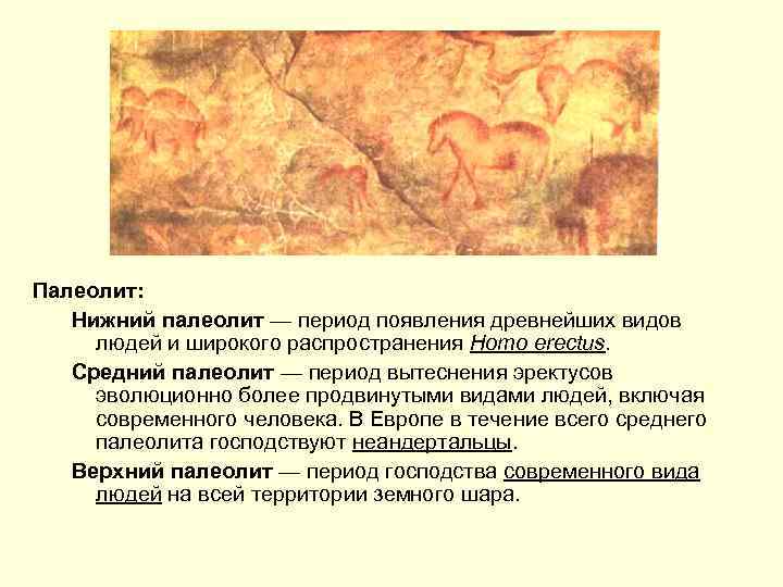Палеолит: Нижний палеолит — период появления древнейших видов людей и широкого распространения Homo erectus.