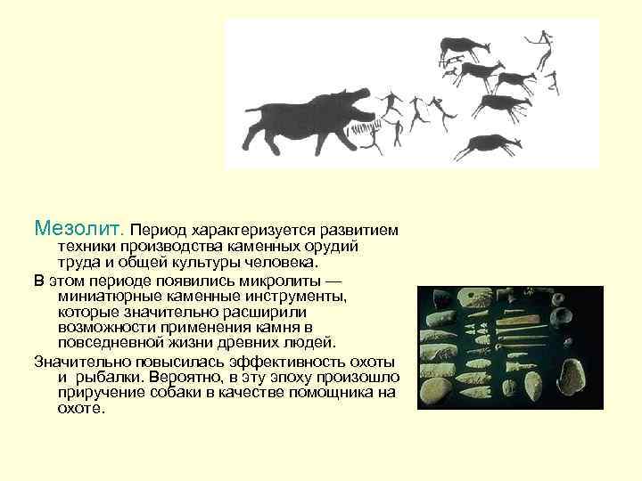Мезолит. Период характеризуется развитием техники производства каменных орудий труда и общей культуры человека. В