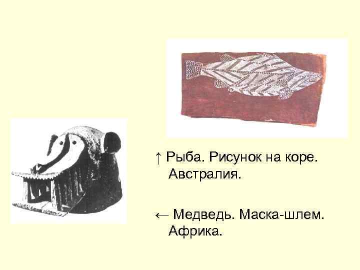 ↑ Рыба. Рисунок на коре. Австралия. ← Медведь. Маска-шлем. Африка. 