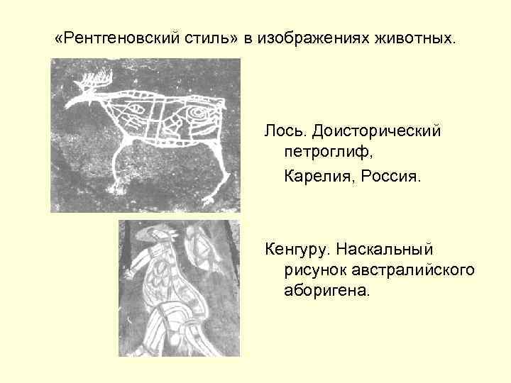  «Рентгеновский стиль» в изображениях животных. Лось. Доисторический петроглиф, Карелия, Россия. Кенгуру. Наскальный рисунок