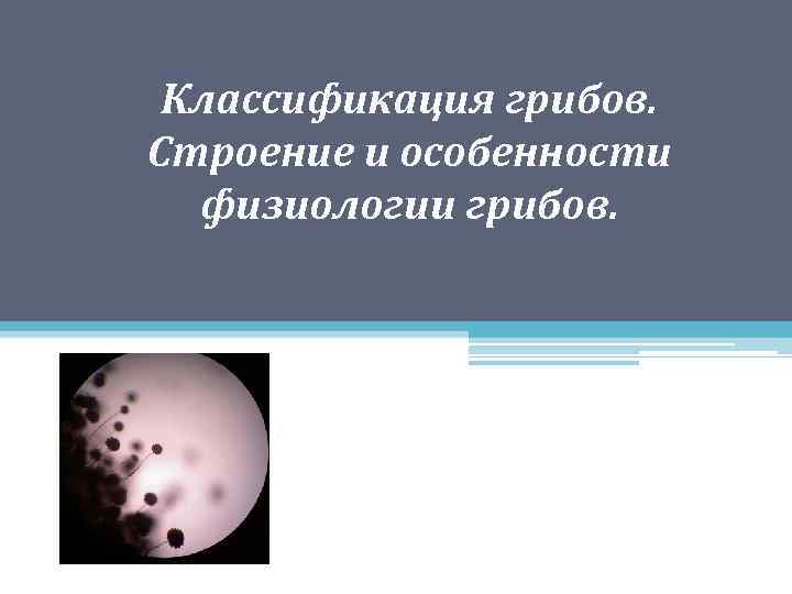 Классификация грибов. Строение и особенности физиологии грибов. 