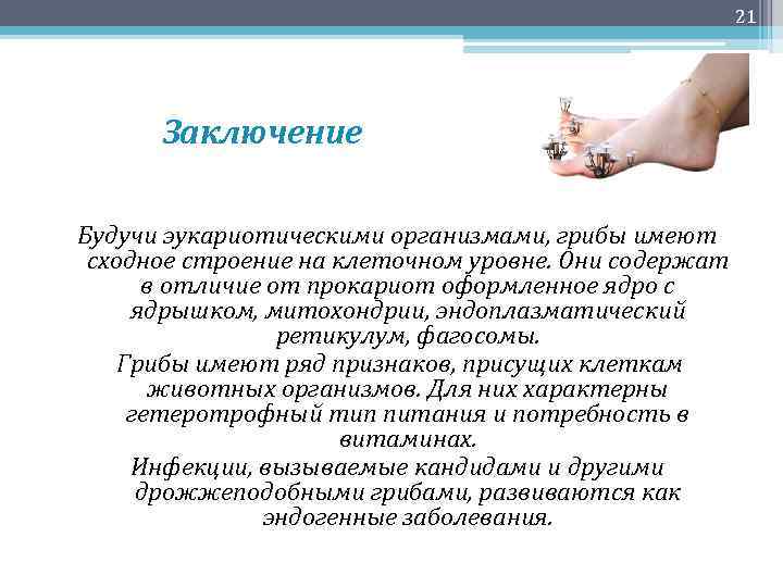 21 Заключение Будучи эукариотическими организмами, грибы имеют сходное строение на клеточном уровне. Они содержат